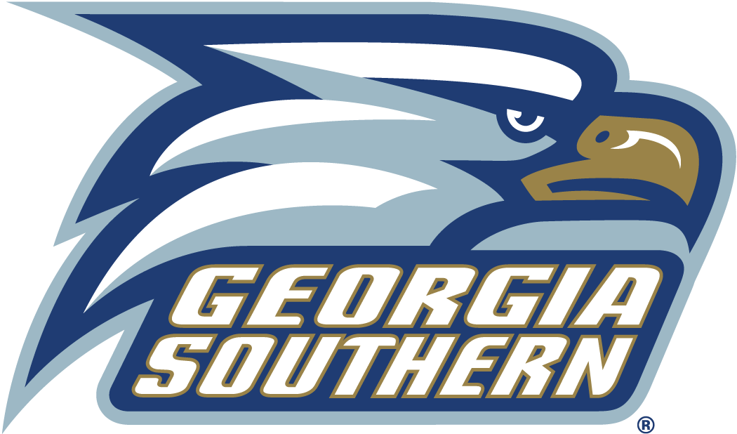 Georgia Southern Eagles 2004-Pres Alternate Logo diy iron on heat transfer